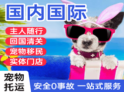 北京首都航空快递国际宠物托运 【国